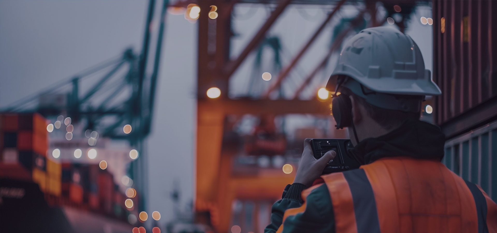 Trusted Inspection Services